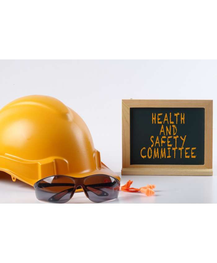 H&S Committee Chairperson Appointment