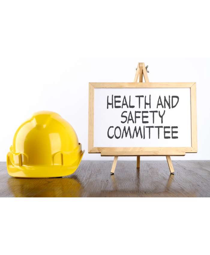 H&S Committee - Employer Representative Appointment