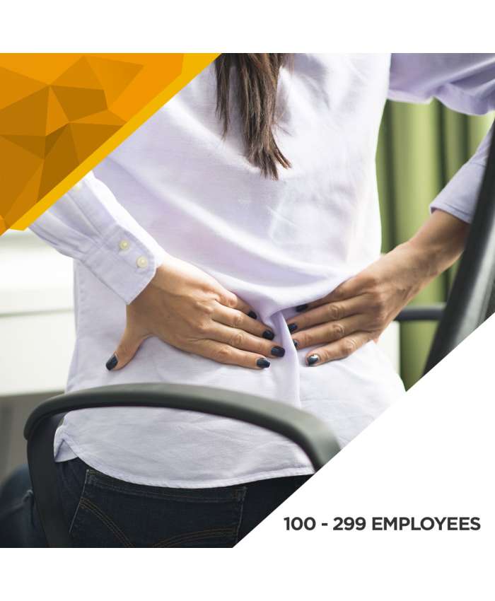 Ergonomics Baseline Assessment - 100 to 299 Employees
