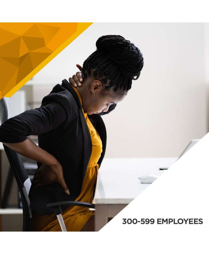 Ergonomics Baseline Assessment - 300 to 599 Employees