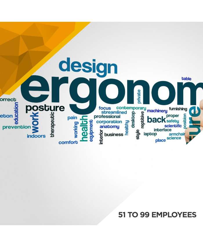 Ergonomics Baseline Assessment - 51 to 99 Employees