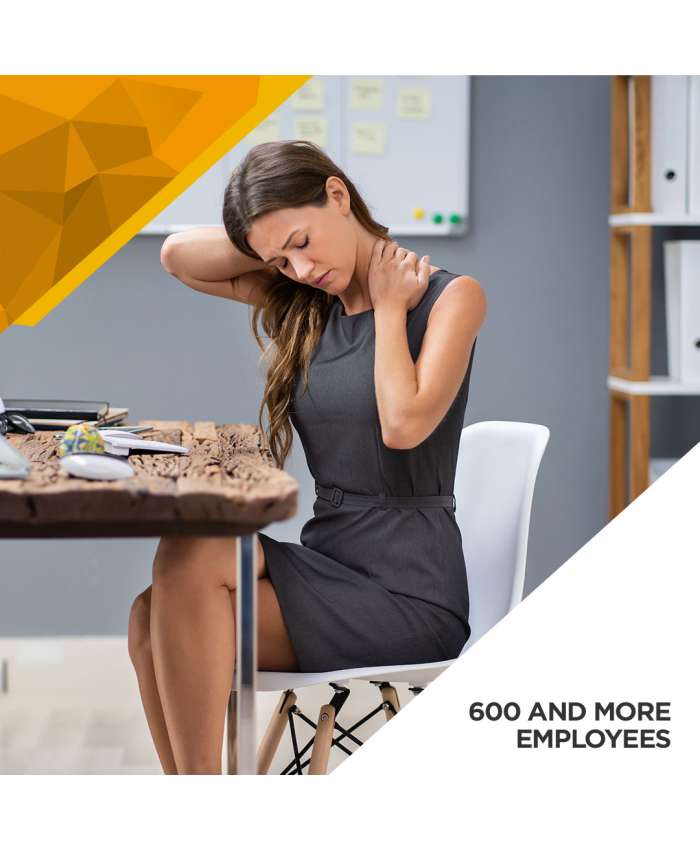 Ergonomics Baseline Assessment - 600 and More Employees