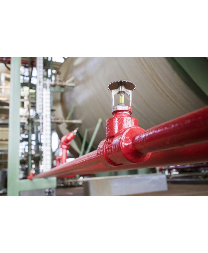 Fire Sprinkler Valves Service