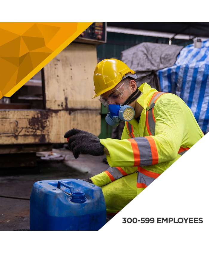 Hazardous Chemical Agents Survey - 300 to 599 Employees