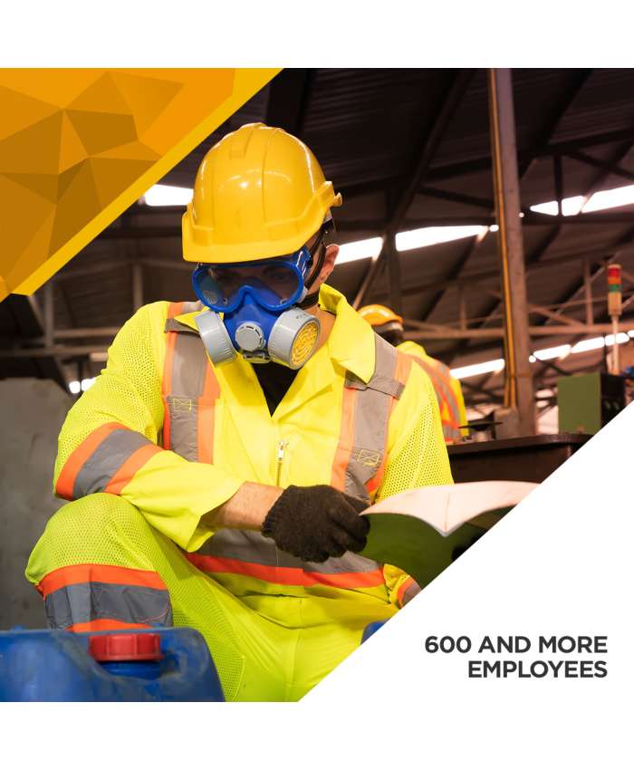 Hazardous Chemical Agents Survey - 600 and More Employees_