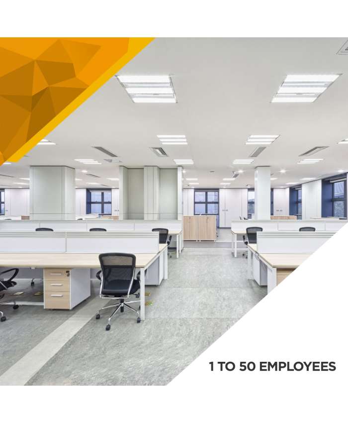 Illumination Survey - 1-to-50-Employees