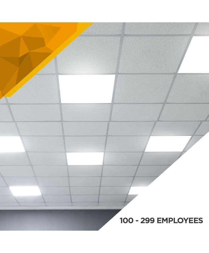 Illumination Survey - 100 to 299 Employees