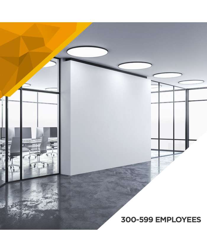 Illumination Survey - 300 to 599 Employees
