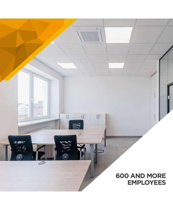 Illumination Survey - 600 and More Employees