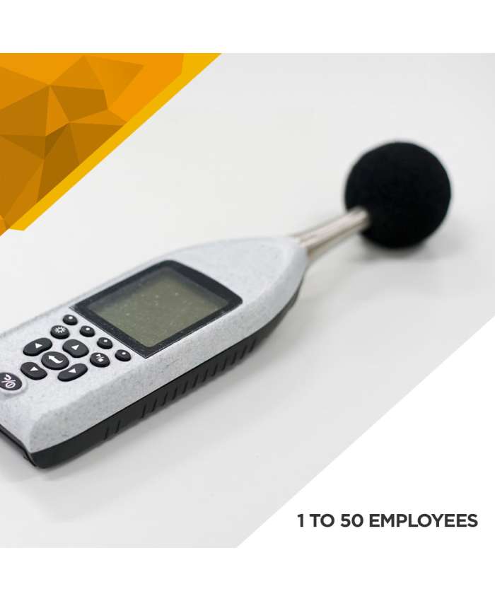 Noise Survey - 1 to 50 Employees