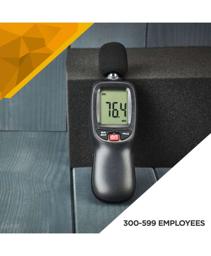 Noise Survey - 300 to 599 Employees