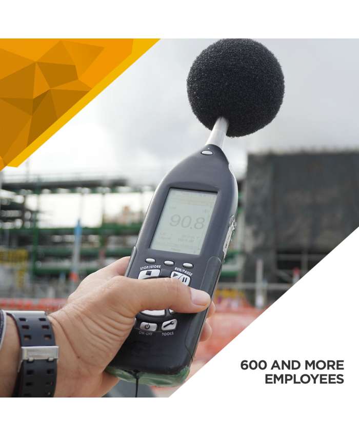 Noise Survey - 600 and More Employees